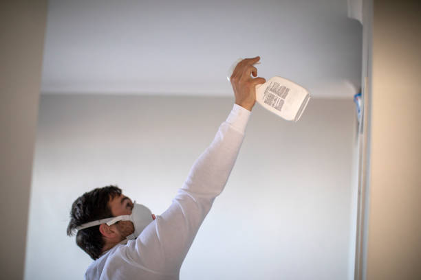 Best Best Mold Removal Companies  in Weed, CA