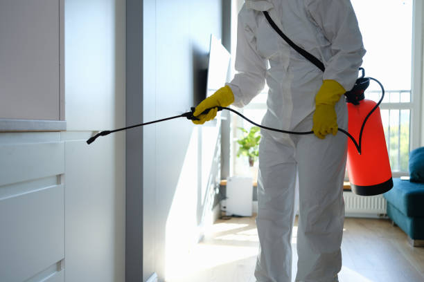 Best Toxic Mold Removal  in Weed, CA