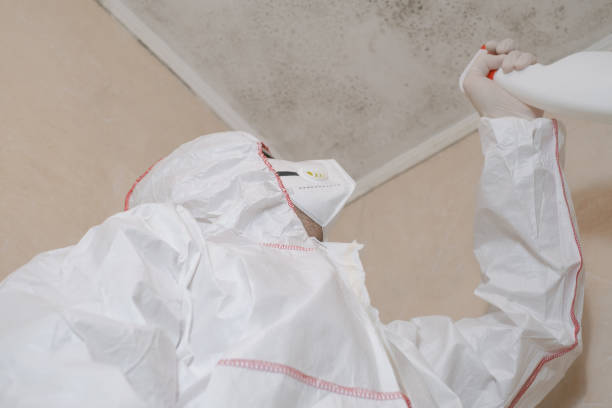 Best Residential Mold Removal  in Weed, CA