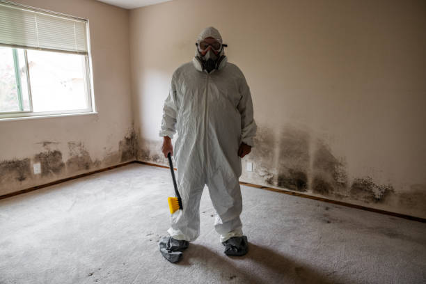 Crawl Space Mold Removal in Weed, CA